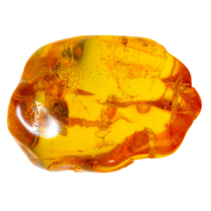 Ámbar
