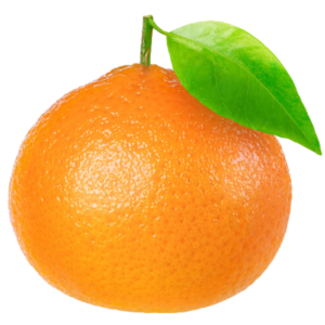 Mandarina