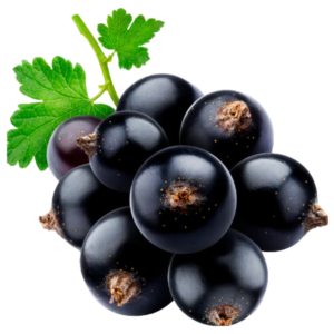 Grosella negra